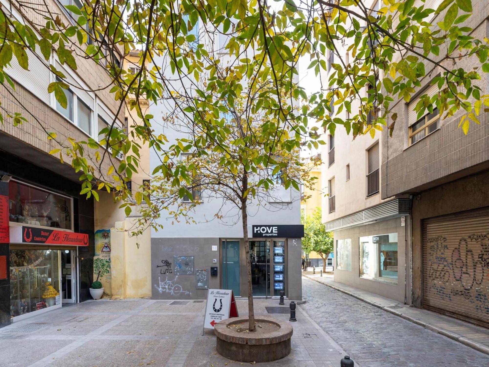 San Anton Boutique Terrace Villa Granada Dış mekan fotoğraf